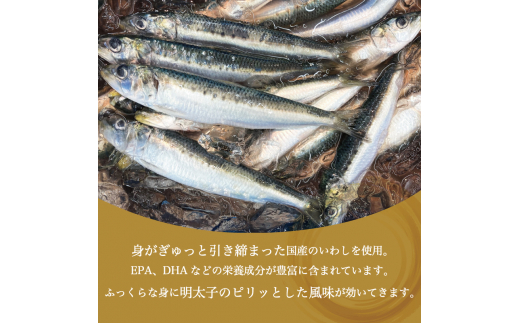 ピリ辛 いわし明太 6尾 辛子明太子使用 [a9208] 株式会社マル五 ※配送不可：離島【返礼品】添田町 ふるさと納税