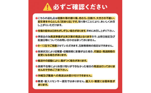 【2024年11月下旬以降発送】訳あり りんご（ふじ）3kg