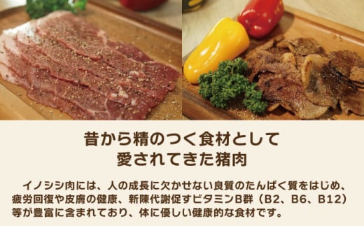 ジビエ 天然イノシシ肉 おまかせ焼肉セット 600g （ロース・モモ・バラ）【照本食肉加工所】 [OAJ004] / 猪 猪肉 いのしし肉 イノシシ イノシシ肉 ジビエ いのしし 長崎県猪 川棚町産猪 ぼたん鍋用いのしし 九州産イノシシ じびえ ジビエ ジビエ肉 