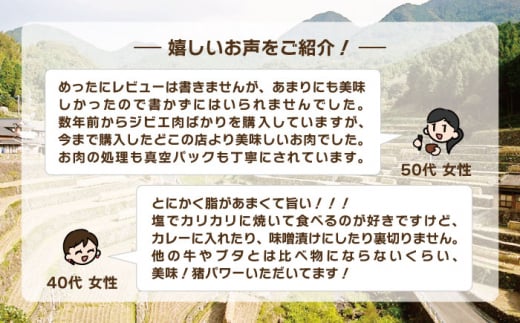 ジビエ 天然イノシシ肉 おまかせ焼肉セット 600g （ロース・モモ・バラ）【照本食肉加工所】 [OAJ004] / 猪 猪肉 いのしし肉 イノシシ イノシシ肉 ジビエ いのしし 長崎県猪 川棚町産猪 ぼたん鍋用いのしし 九州産イノシシ じびえ ジビエ ジビエ肉 