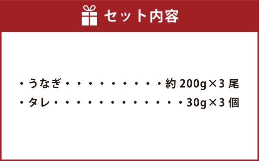 特上うなぎ 計約600g(200g×3尾)タレ付き