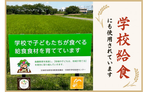 [令和6年10月より順次発送予定] [定期便]《6か月連続お届け》レンゲ米5kg×1袋｜令和6年度米 コシヒカリ 精米 白米 お米 ごはん 甘楽町産 先行予約 [0143]