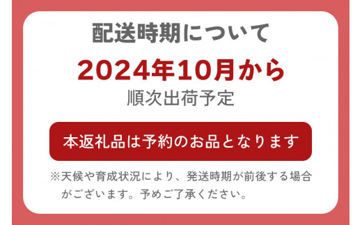 [令和6年10月より順次発送予定] [定期便]《6か月連続お届け》レンゲ米5kg×1袋｜令和6年度米 コシヒカリ 精米 白米 お米 ごはん 甘楽町産 先行予約 [0143]