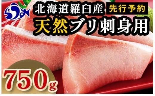 【2025年1月発送】北海道 知床羅臼産 天然ぶり刺身 750g（250g ×3パック） 魚 海産物 魚介 魚介類 ブリ 鰤 刺身 ご飯のお供 冷凍 生産者 支援 応援