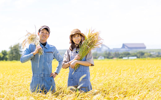 【1ヶ月毎3回定期便】田園交響楽ゆめぴりか 無洗米 10kg 計30kg