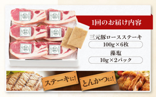 肉 豚肉 ロース ステーキ ステーキ用 とんかつ トンテキ 生姜焼き 