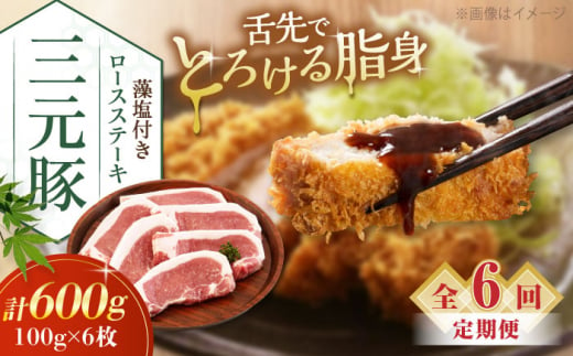 肉 豚肉 ロース ステーキ ステーキ用 とんかつ トンテキ 生姜焼き 