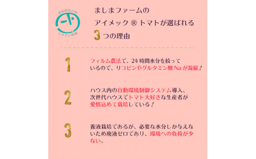 【年3回】フルーツ・野菜定期便　梨　栗　トマト　＜2025年トマトから発送＞