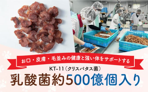 Softbits （果物）いちご（40g×6P）長崎県/株式会社サポート [42AEAE009] ソフトビッツ ドッグ フード いぬ 犬 イヌ おやつ ペット 乳酸菌 国産 果物 くだもの いちご イチゴ 苺 シニア 幼犬 老犬 小分け 小型犬 中型犬 大型犬 ドック 安心 犬のおやつ フルーツ