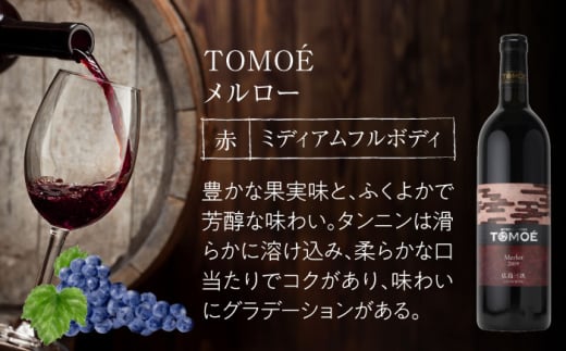 【お歳暮対象】TOMOEワイン2本セット D ワイン 受賞 飲み比べ ワインセット ギフト 三次市/広島三次ワイナリー[APAZ026]