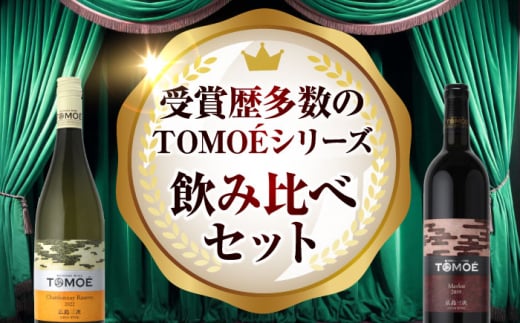 【お歳暮対象】TOMOEワイン2本セット D ワイン 受賞 飲み比べ ワインセット ギフト 三次市/広島三次ワイナリー[APAZ026]