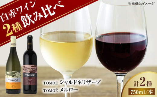 【お歳暮対象】TOMOEワイン2本セット D ワイン 受賞 飲み比べ ワインセット ギフト 三次市/広島三次ワイナリー[APAZ026]