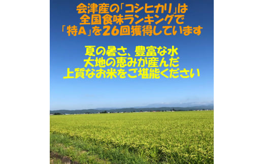 二瓶商店の会津若松市産コシヒカリ 白米 10kg｜新米 令和6年 2024年 会津産 米 お米 こめ 精米 こしひかり [0770]