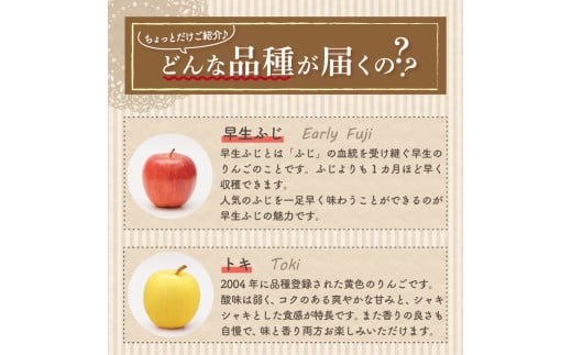 【2025年2月中旬発送】おまかせ 訳ありりんご 約 3kg （7～12個程度） 青森 |選べる配送時期|  りんご 青森 五所川原 3kg 程度