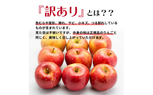 【2025年2月中旬発送】おまかせ 訳ありりんご 約 3kg （7～12個程度） 青森 |選べる配送時期|  りんご 青森 五所川原 3kg 程度