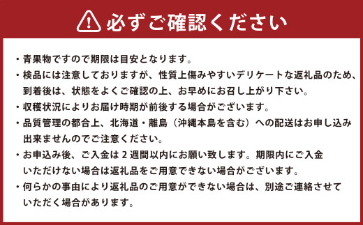 博多あまおう（冬）6パック