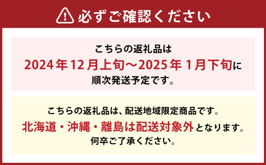 博多あまおう（冬）6パック