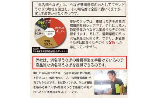 食品添加物不使用の浜名湖うなぎ　蒲焼2尾(約125g×2)【1472420】