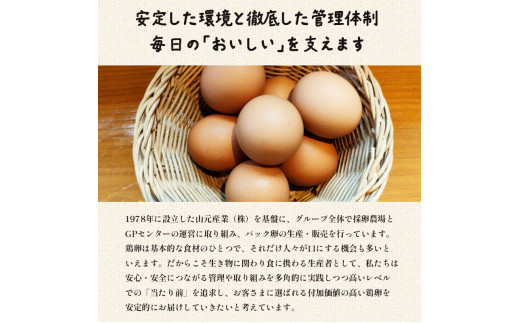 【定期便】毎月40個 /１２回 卵 合計480個 無選別 MS～LL 京の贈り物 20個×2パック×12回