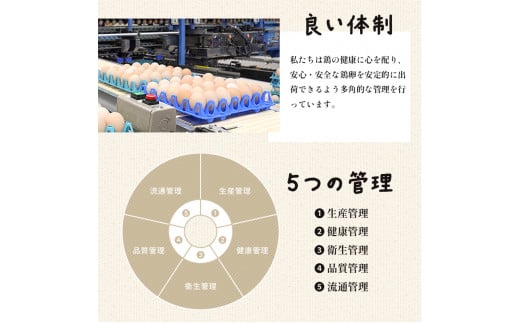 【定期便】毎月40個 /１２回 卵 合計480個 無選別 MS～LL 京の贈り物 20個×2パック×12回