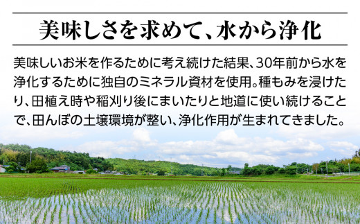 新米【令和六年産】特別栽培米コシヒカリ18.0kg（4.5kg×4袋）玄米 お米 ブランド米 ライス 炭水化物 ご飯 主食 食卓 おにぎり お弁当 ミネラル米 こしひかり ごはん こめ コメ 産地直送 国産 茨城県産 常総市 運動会 アウトドア キャンプ