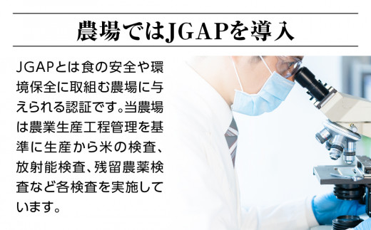 新米【令和六年産】特別栽培米コシヒカリ18.0kg（4.5kg×4袋）玄米 お米 ブランド米 ライス 炭水化物 ご飯 主食 食卓 おにぎり お弁当 ミネラル米 こしひかり ごはん こめ コメ 産地直送 国産 茨城県産 常総市 運動会 アウトドア キャンプ