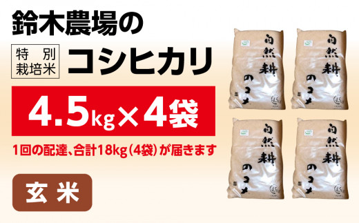 新米【令和六年産】特別栽培米コシヒカリ18.0kg（4.5kg×4袋）玄米 お米 ブランド米 ライス 炭水化物 ご飯 主食 食卓 おにぎり お弁当 ミネラル米 こしひかり ごはん こめ コメ 産地直送 国産 茨城県産 常総市 運動会 アウトドア キャンプ