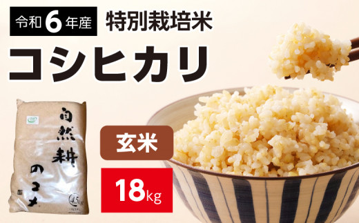 新米【令和六年産】特別栽培米コシヒカリ18.0kg（4.5kg×4袋）玄米 お米 ブランド米 ライス 炭水化物 ご飯 主食 食卓 おにぎり お弁当 ミネラル米 こしひかり ごはん こめ コメ 産地直送 国産 茨城県産 常総市 運動会 アウトドア キャンプ