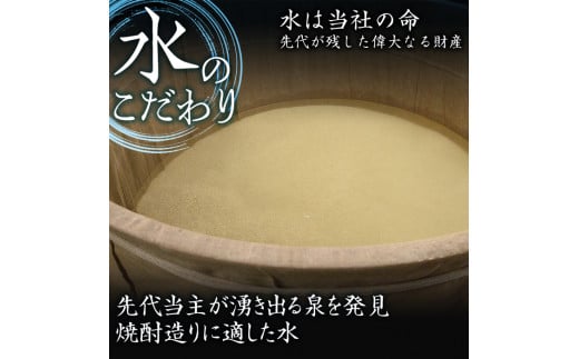 宮崎の神話街道 40度(500ml×2本)酒 お酒 焼酎 こめ焼酎 米 アルコール 黒麹 もち米 【HM032】【姫泉酒造合資会社】