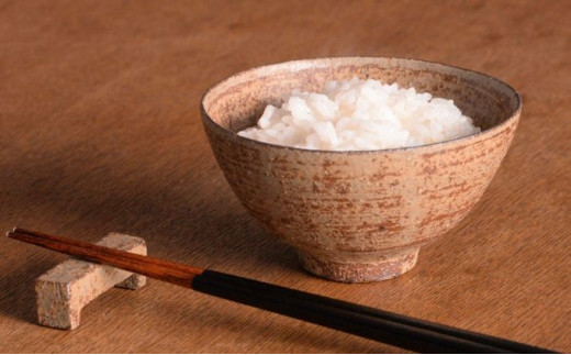 茶碗 箕乃窯のご飯茶碗 灰釉飯椀 食器 お茶碗 ご飯茶碗 箕乃窯 おしゃれ シンプル 素朴 箕輪町 [№5675-1176]