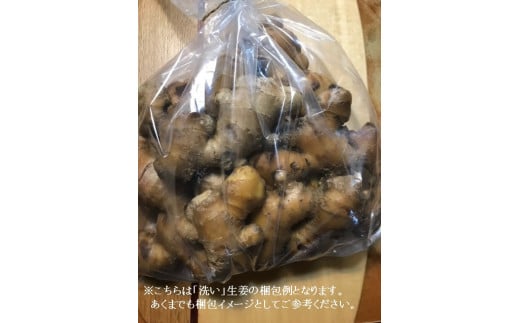 自然農 ひね生姜１kg（自然のままの土付き）親生姜 皮まで食べられる 甘酢漬け ガリ ショウガ【R00218】