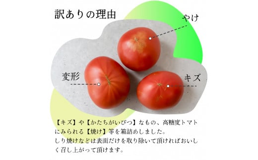 【12月下旬～5月頃発送】＜訳あり フルーツトマト 原田農園 約1.8kg 箱入＞ 桃太郎 家庭用 ワケあり 変形 キズあり 高知県 佐川町　＜当期分は毎年4月上旬頃まで申込受付＞