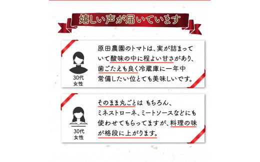【12月下旬～5月頃発送】＜訳あり フルーツトマト 原田農園 約1.8kg 箱入＞ 桃太郎 家庭用 ワケあり 変形 キズあり 高知県 佐川町　＜当期分は毎年4月上旬頃まで申込受付＞