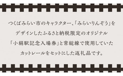 「 小絹駅 」 記念入場券 ・ カットレール セット 鉄道 関東鉄道 常総線 小絹駅 鉄道ファン つくばみらい市 みらいりんぞう ふるさと納税限定