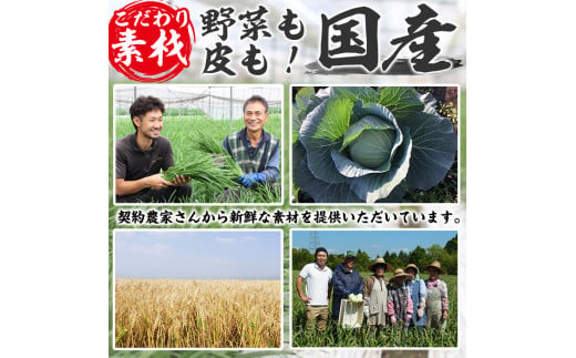 No.429-m-m12 ＜2024年12月中に発送予定＞鹿児島黒豚使用の黒豚もちっと餃子(計120個・15個入り×8パック)国産 九州産 ぎょうざ ギョウザ 冷凍 黒豚 豚肉 お肉 おかず【末永商店】