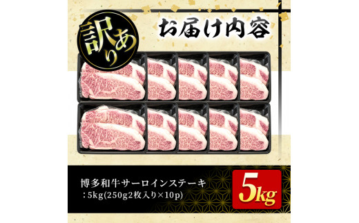 ＜訳あり・不揃い＞博多和牛サーロインステーキセット(20枚・計5kg)牛肉 黒毛和牛 国産 ステーキ＜離島配送不可＞【ksg0521】【MEATPLUS】