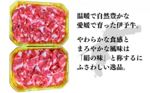 伊予牛「絹の味」黒毛和牛 小間切れ800g（400g×2） [№5310-0132]