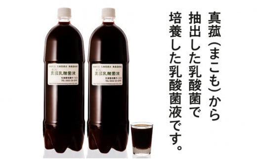 【定期便】真菰（まこも）乳酸菌液　1.5L×6本　3ヶ月定期便 ／ マコモ 無農薬栽培 山梨県