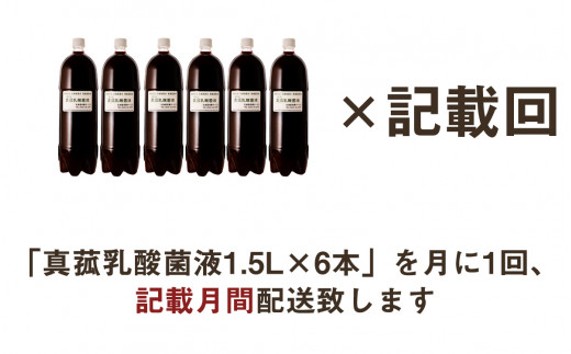 【定期便】真菰（まこも）乳酸菌液　1.5L×6本　3ヶ月定期便 ／ マコモ 無農薬栽培 山梨県