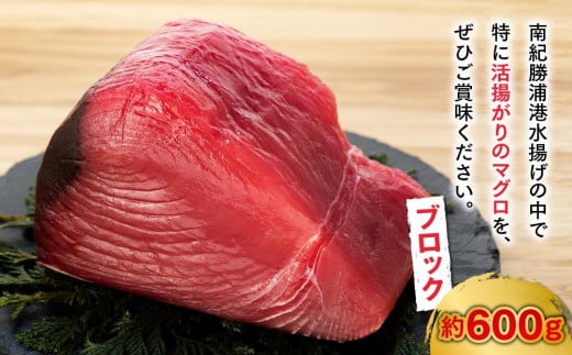 生まぐろの本場紀州勝浦から直送！　生メバチマグロ 約600g