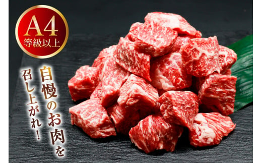 肉 牛肉 宮崎牛うで肉 サイコロカット 500g×2 計1kg [牛心フードサービス 宮崎県 美郷町 31bm0026] 冷凍 小分け ウデ ウデ肉 うで うで肉ブランド牛 宮崎牛 さいころ サイコロ