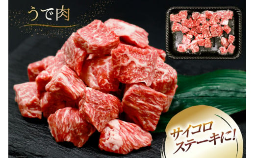 肉 牛肉 宮崎牛うで肉 サイコロカット 500g×2 計1kg [牛心フードサービス 宮崎県 美郷町 31bm0026] 冷凍 小分け ウデ ウデ肉 うで うで肉ブランド牛 宮崎牛 さいころ サイコロ