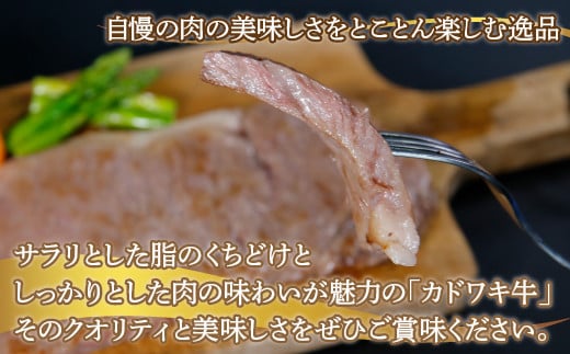 北海道 黒毛和牛 カドワキ牛 サーロイン ステーキ 2枚 200～220g/枚【冷凍】 【 ふるさと納税 人気 おすすめ ランキング 肉 牛肉 牛サーロイン 牛ロース 牛ヒレ 牛ひき肉 おいしい 美味しい 甘い 北海道 豊浦町 送料無料 】 TYUAE004