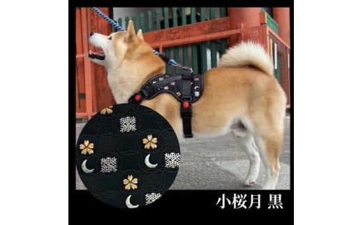 【 京都西陣金襴織 】中型犬ハーネス 華 （小桜月 黒）【柴犬コウタのハッピィショップ】