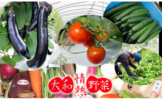 大和情熱野菜の玉手箱 ///旬 野菜 季節 セット 詰合せ 厳選 春 夏 秋 冬 直送 農家 無農薬 奈良県 広陵町