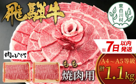 飛騨牛 もも 焼肉用 1.1kg A5等級 A4等級 肉のひぐち 30000円