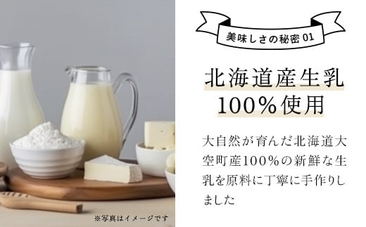 チーズオールスターズ定期便全2回 【 ふるさと納税 人気 おすすめ ランキング チーズ 乳製品 カマンベール チェダー ゴーダ スモーク モッツァレラ セット 詰合せ 定期配送 定期便 北海道 大空町 送料無料 】 OSA023