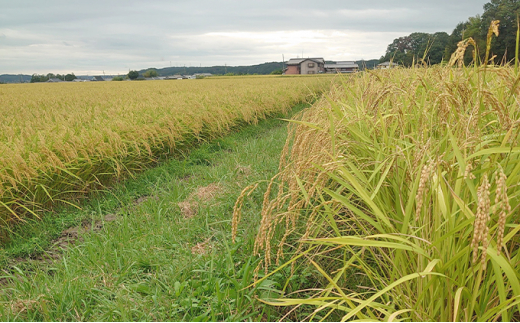 《令和5年産 特別栽培米》日本酒に合うヒノヒカリ 玄米30kg