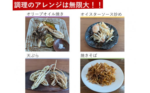 【 期間限定 (2025年3月10日まで受付) 】龍神様のひげ  ( 根ニラ )  700g (100g×7袋) ／ 株式会社 すわファーム 野菜 香味野菜 根菜 無農薬 高原野菜【91-01】