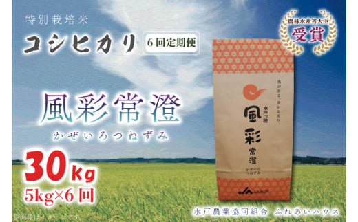 【6ヶ月定期便】【令和6年産】特別栽培米コシヒカリ「風彩常澄」計30kg（5kg×6回） 【最高 ランク 特A コシヒカリ 水戸市 オリジナル ブランド 農林水産省大臣賞受賞 減農薬 減化学肥料 栽培 ふっくら 美味しい お米 ご飯】 （FC-104）